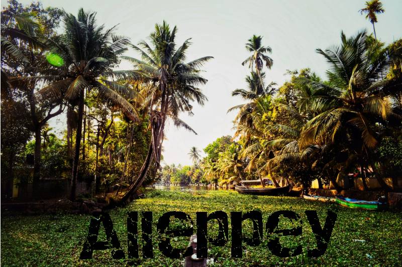 Alleppey Banner